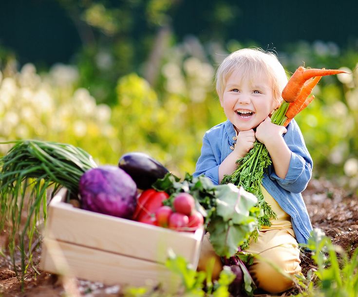 Potager avec des enfants